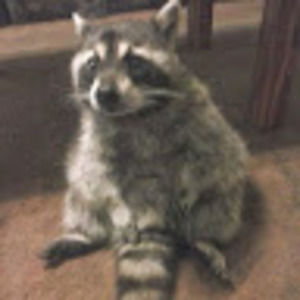 Meet your Posher, Glendell